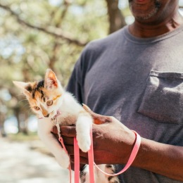 We welcome your furry friends with open arms. 😻 
Our community offers pet-friendly amenities that make Enclave at Raritan the perfect fit for the whole family!
#EnclaveAtRaritan #Flemington #FlemingtonNJ #FlemingtonApartments #FlemingtonLiving #FlemingtonLuxuryApartments #NJApartments #NJLiving #NJApartmentLiving #PreLeasing #EnclaveAtRaritanNJ Instagram post from @enclaveatraritan on July 10, 2024 13:55:08pm